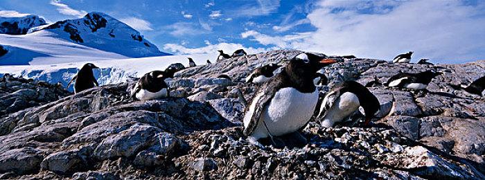 《黑袍纠察队》演员不会为《真人快打1》祖国人配音