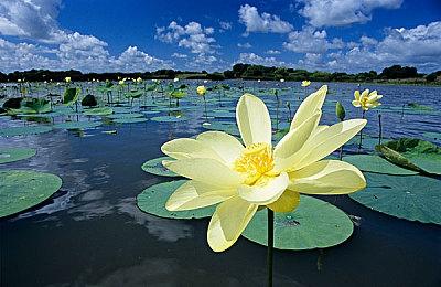 《职场浮生记》正式版定档12月18日发售